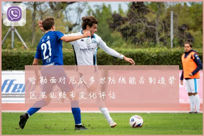 哈勒面对厄瓜多尔防线能否制造禁区混乱赔率变化评估